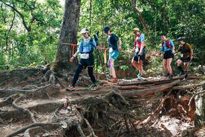 BIB: 
                            <button type="button" onclick="openModal(27719537)" class="btn btn-primary btn-sm float-right btn-popup" data-toggle="modal" data-target=".modal-high-quality">
                        <i class="fas fa-shopping-cart"></i> Add to Cart
                    </button>
                                            <button type="button" onclick="isThisMe(27719537, true)" class="btn btn-success btn-sm float-right btn-popup btn-isme hidden" data-toggle="tooltip" data-placement="bottom" title="นี่คือรูปของคุณใช่ไหม คลิกที่นี่เพื่อเอาเข้าอัลบั้ม">
                        <i class="fas fa-plus"></i> Add to album
                    </button>
                    <button type="button" onclick="isThisMe(27719537, false)" class="btn btn-warning btn-sm float-right btn-popup btn-isnotme hidden">
                        <i class="fas fa-ban"></i> Remove from album
                    </button>